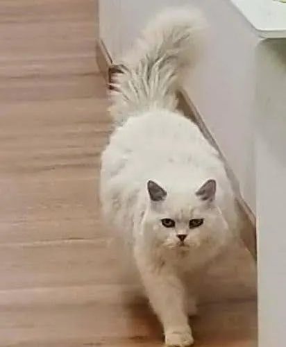 Be 4* Палермо