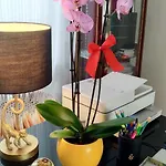 Be 팔레르모